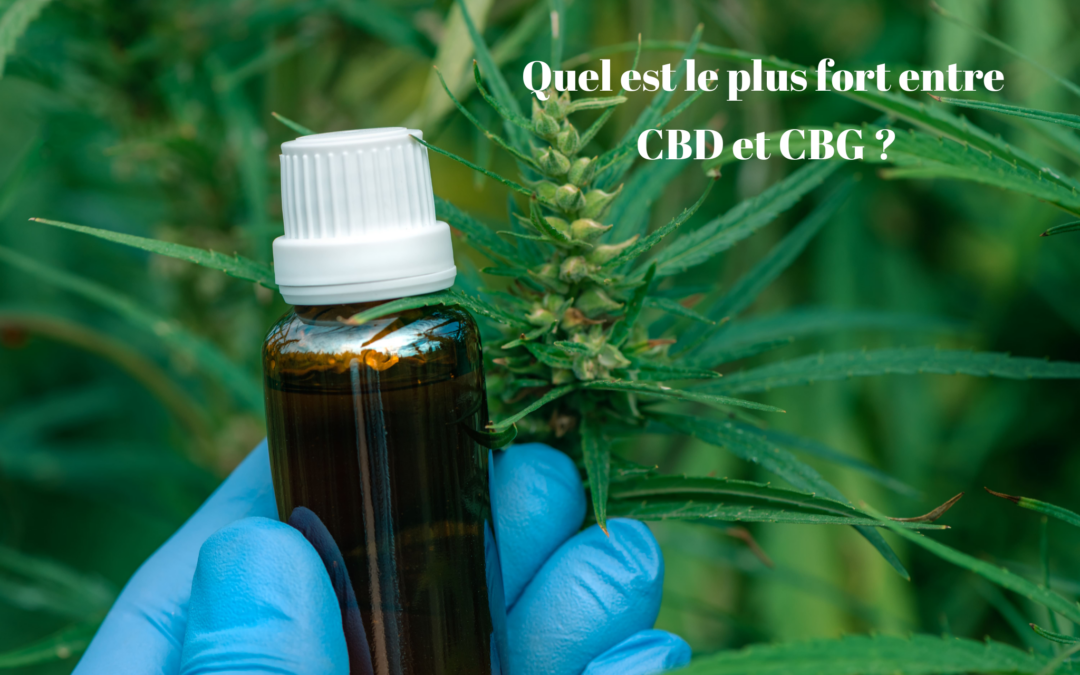 Quel est le plus fort entre le CBD et le CBG ?