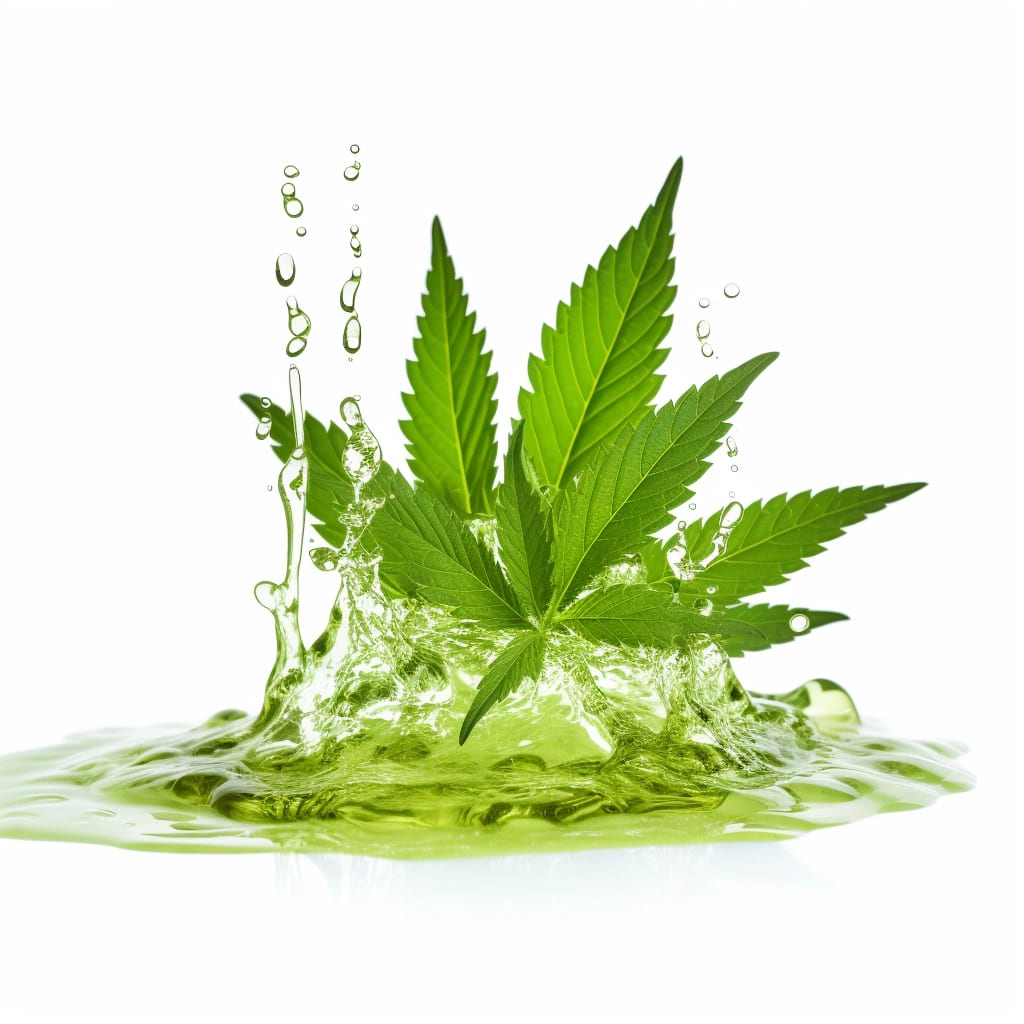 Tout ce qu'il faut savoir sur le CBD hydrosoluble